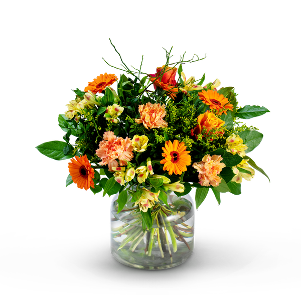 Product impression of the type small