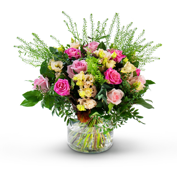 Product impression of the type large