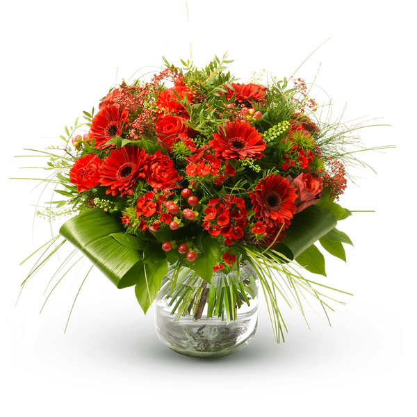 Product impression of the type large