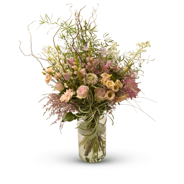 Product impression of the type large