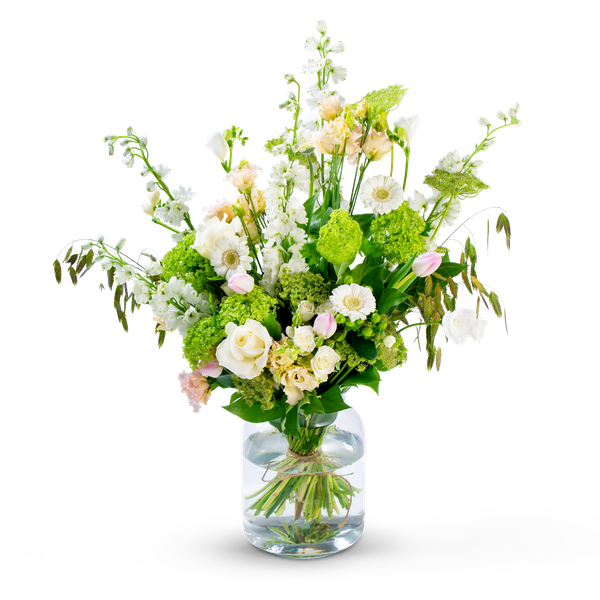 Product impression of the type large