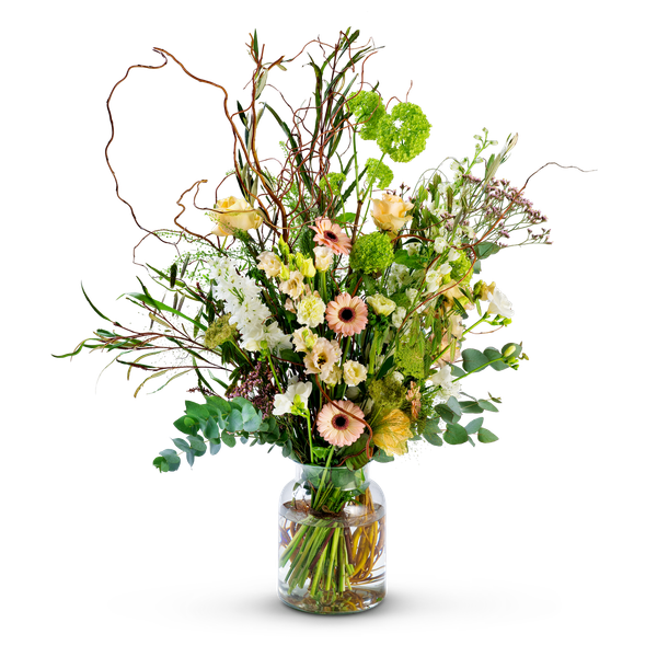 Product impression of the type large