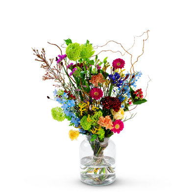 Bonte bloemenpracht 