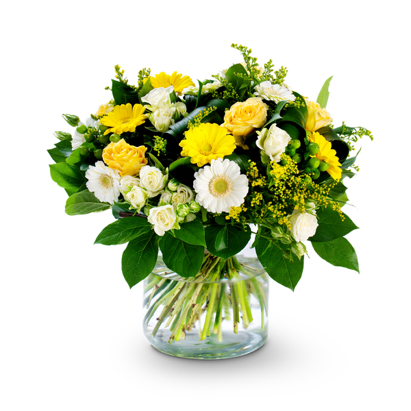 Product impression of the type large