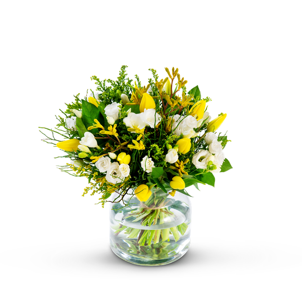 Product impression of the type small