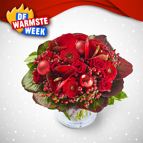 Product impression of the type large