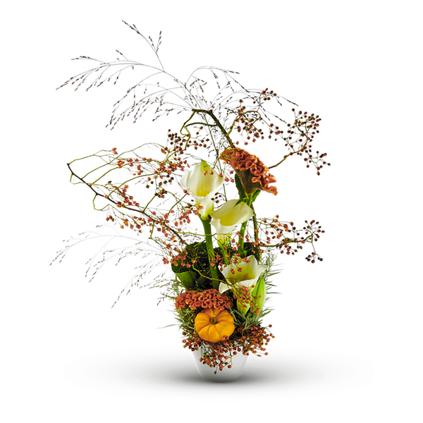 Product impression of the type small