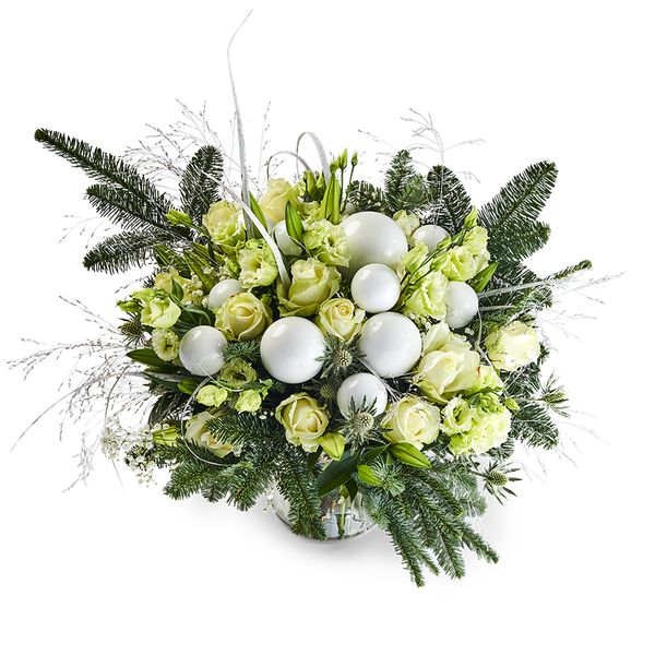 Product impression of the type large