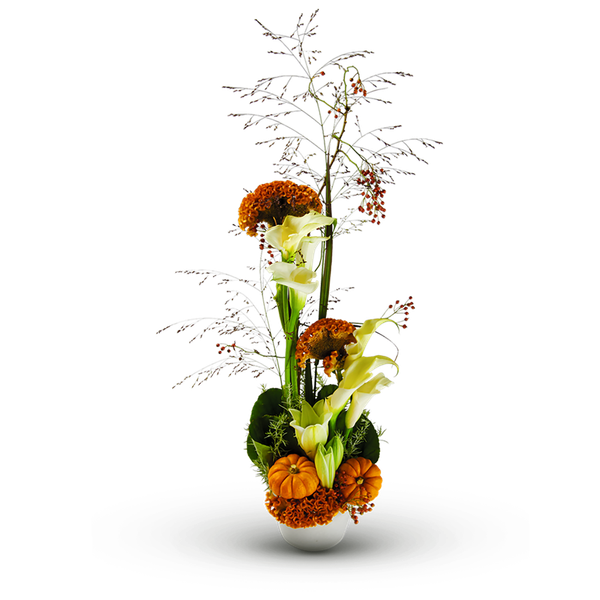 Product impression of the type custom