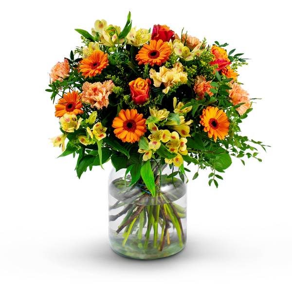 Product impression of the type large