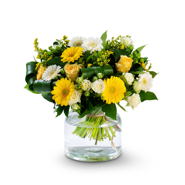 Product impression of the type medium