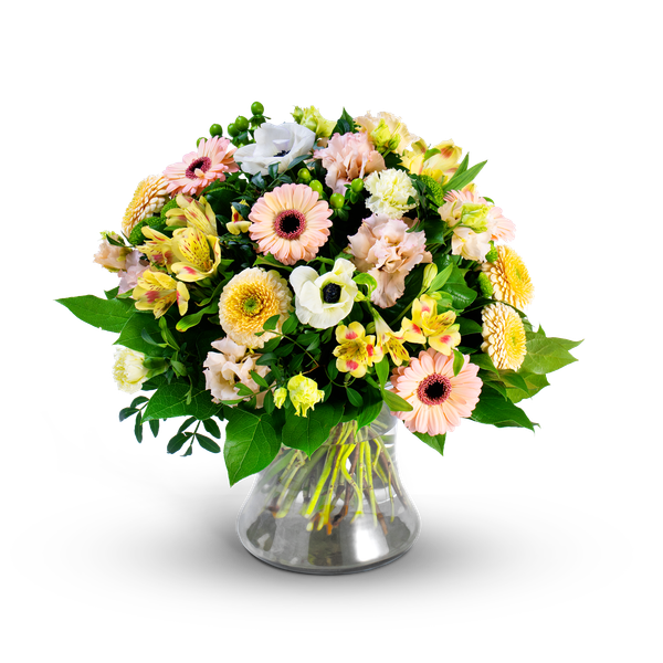 Product impression of the type small