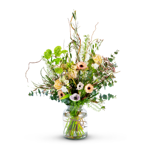 Product impression of the type medium