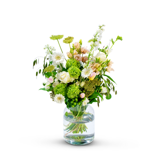 Product impression of the type medium