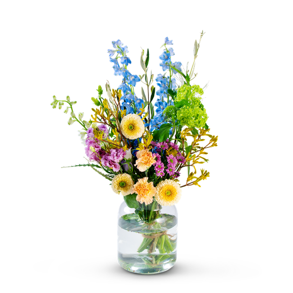 Product impression of the type small