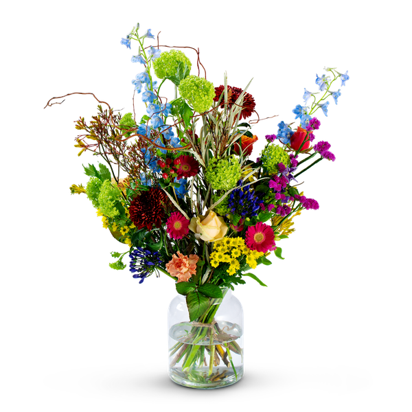 Product impression of the type large