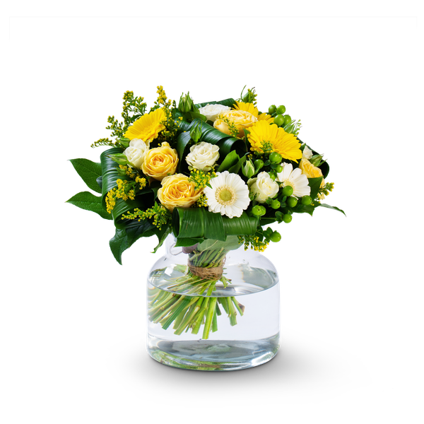 Product impression of the type small