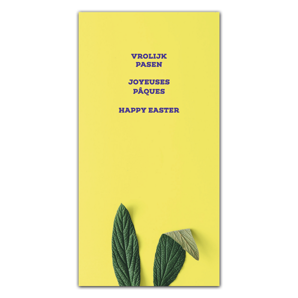 Product impression