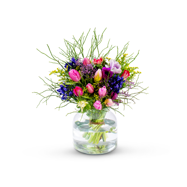 Product impression of the type small