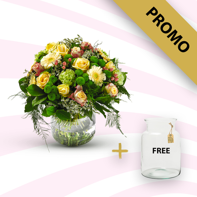 Promo package 