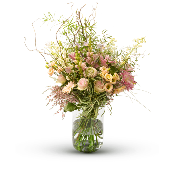 Product impression of the type large