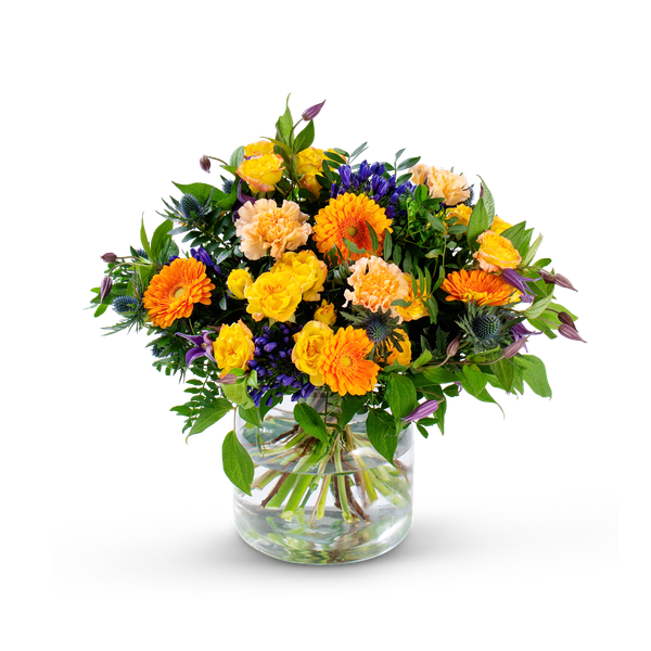 Product impression of the type small