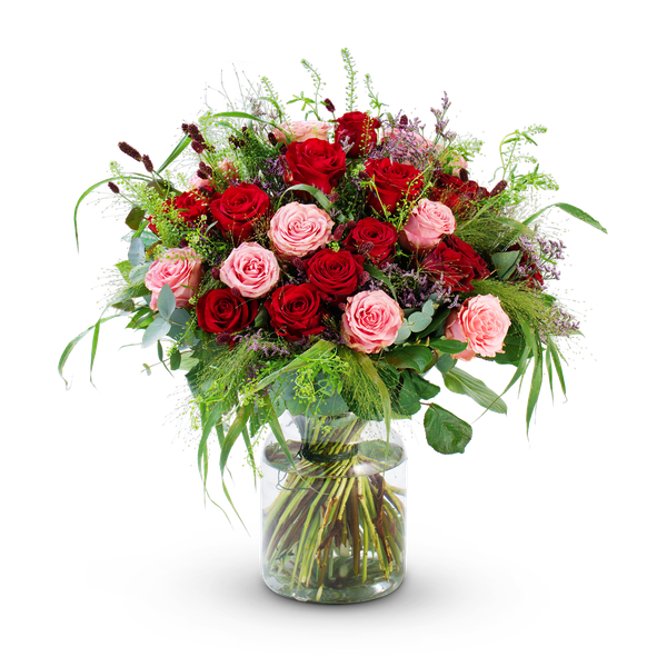 Product impression of the type large