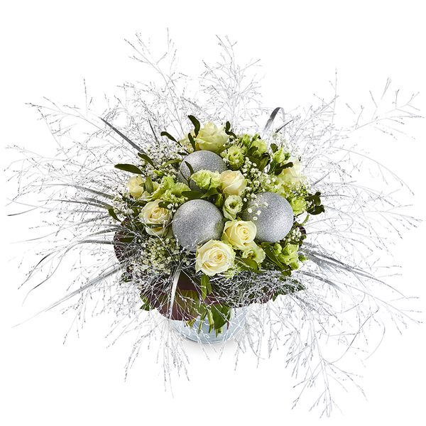 Product impression of the type large