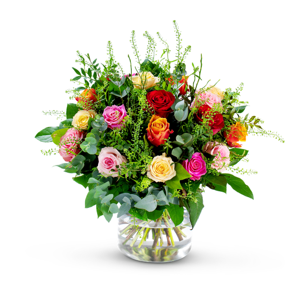 Product impression of the type large