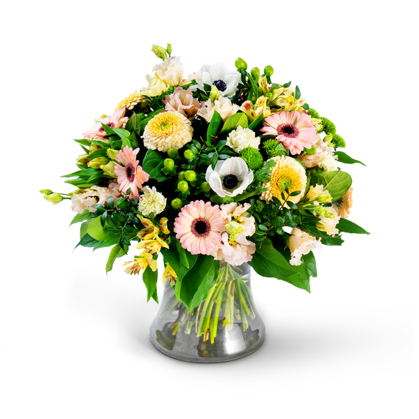 Product impression of the type large