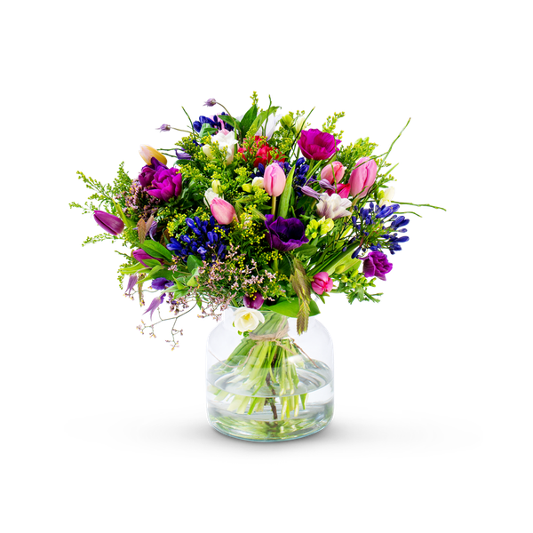 Product impression of the type large