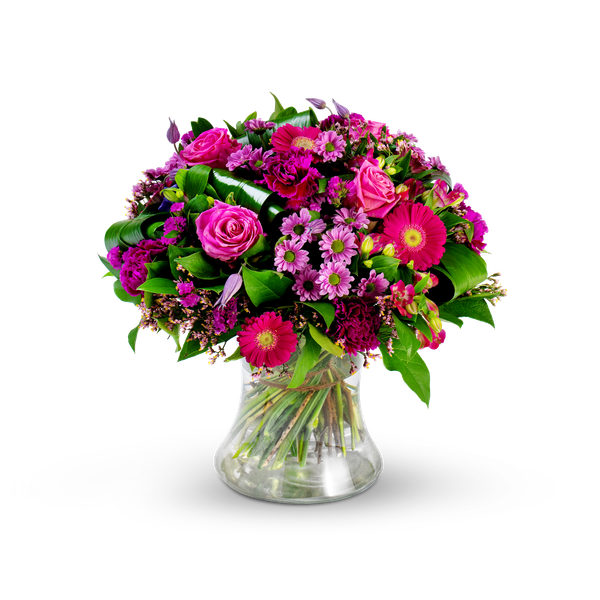 Product impression of the type large