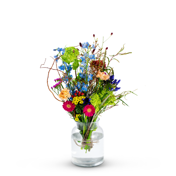 Product impression of the type small