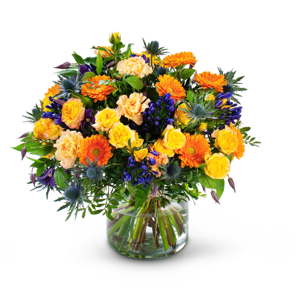 Product impression of the type large