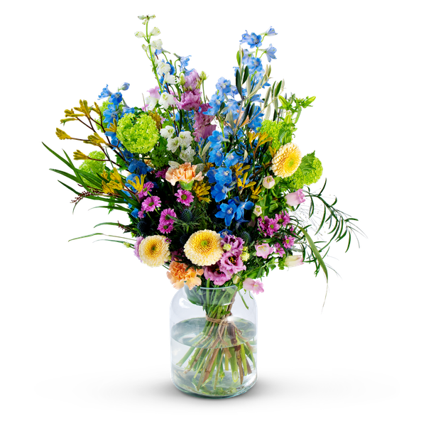 Product impression of the type large